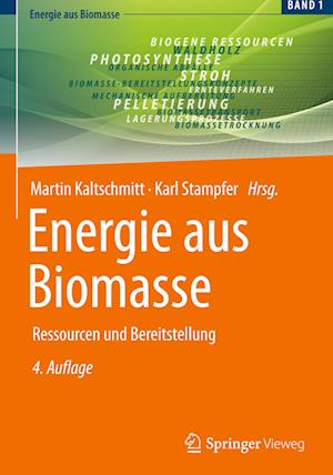 Energie aus Biomasse