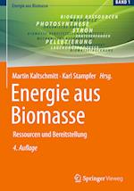 Energie aus Biomasse