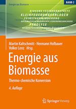 Energie aus Biomasse