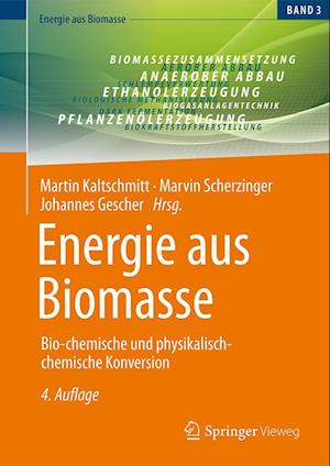 Energie aus Biomasse