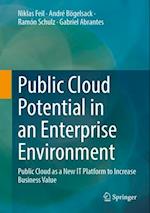 Public Cloud Potential in an Enterprise Environment