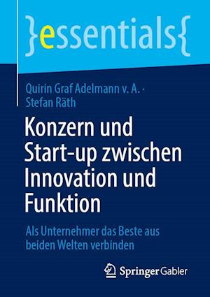 Konzern und Start-up zwischen Innovation und Funktion