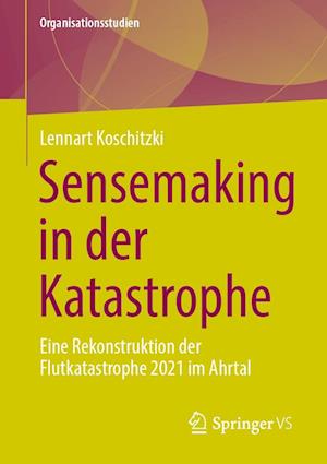 Sensemaking in der Katastrophe