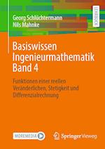 Basiswissen Ingenieurmathematik Band 4