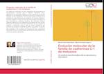 Evolución molecular de la familia de cadherinas C-1 de  metazoos