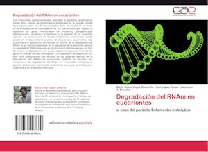 Degradación del RNAm en eucariontes