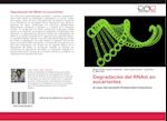 Degradación del RNAm en eucariontes