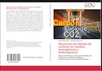 Absorción de dióxido de carbono en medios homogéneos y heterogéneos