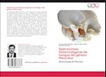 Aplicaciones biotecnológicas de hongos del género Pleurotus