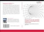 Geoquímica de metales trazas y metalogénesis, Argentina