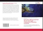 Estudio Mitocondrial de la tortuga cabezona Caretta caretta