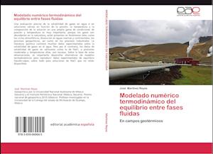 Modelado numérico termodinámico del equilibrio entre fases fluidas