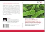 Síntesis de PHAs en bacterias diazótrofas en leguminosas de Colombia