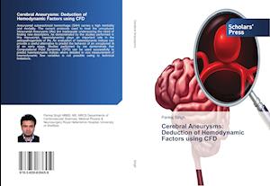 Cerebral Aneurysms: Deduction of Hemodynamic Factors using CFD