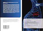 Inhibition of microRNA biogenesis by mutant p53 in cancer