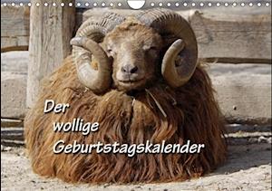 Der wollige Geburtstagskalender (Wandkalender immerwährend DIN A4 quer)