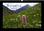 Surselva - Graubünden (Wandkalender immerwährend DIN A3 quer)