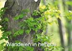 Wandelen in het bos NL- Version / Birthday Calendar (Wandkalender Eeuwigdurende kalender DIN A3 vertikaal)