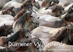 Dülmener Wildpferde - Gefährdete Nutztierrasse (Wandkalender immerwährend DIN A3 quer)