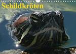 Schildkröten (Wandkalender immerwährend DIN A4 quer)