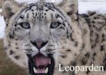 Leoparden (Wandkalender immerwährend DIN A3 quer)