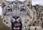 Leoparden (Wandkalender immerwährend DIN A4 quer)