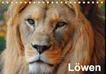 Löwen (Tischkalender immerwährend DIN A5 quer)