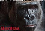 Gorillas / Geburtstagskalender (Wandkalender immerwährend DIN A3 quer)