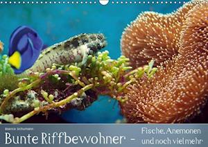 Bunte Riffbewohner - Fische, Anemonen und noch viel mehr (Wandkalender immerwährend DIN A3 quer)