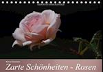 Zarte Schönheiten - Rosen (Tischkalender immerwährend DIN A5 quer)