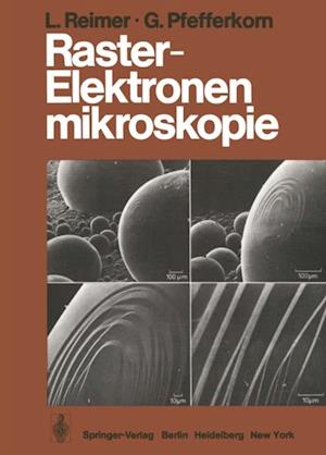 Raster-Elektronenmikroskopie