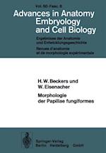 Morphologie der Papillae fungiformes