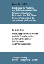 Das Epoophoron der Henne und die Transformation seiner Epithelzellen in Interrenal- und Interstitialzellen