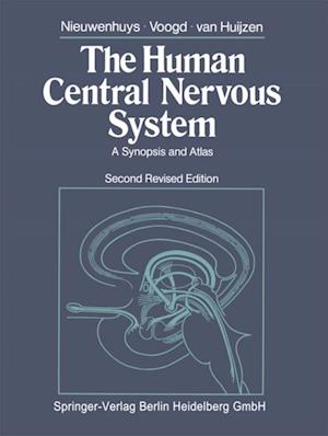 Human Central Nervous System