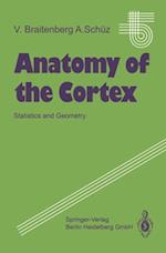 Anatomy of the Cortex