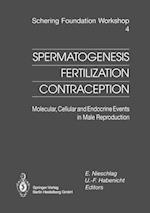 Spermatogenesis - Fertilization - Contraception