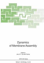 Dynamics of Membrane Assembly