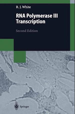 RNA Polymerase III Transcription