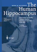 Human Hippocampus