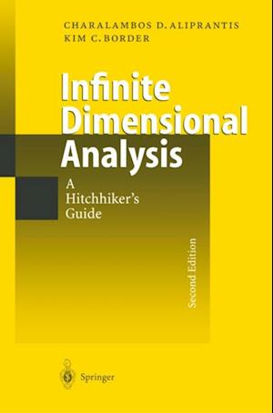 Infinite Dimensional Analysis