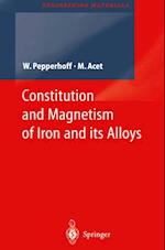 Constitution and Magnetism of Iron and its Alloys