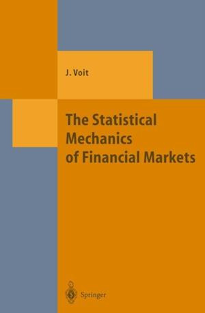 Statistical Mechanics of Financial Markets