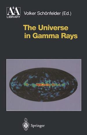 Universe in Gamma Rays