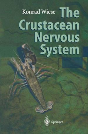 Crustacean Nervous System