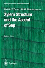 Xylem Structure and the Ascent of Sap