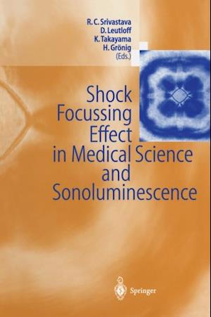 Shock Focussing Effect in Medical Science and Sonoluminescence