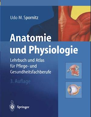 Anatomie und Physiologie