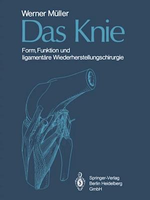 Das Knie