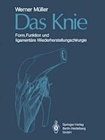 Das Knie