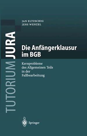 Die Anfängerklausur im BGB